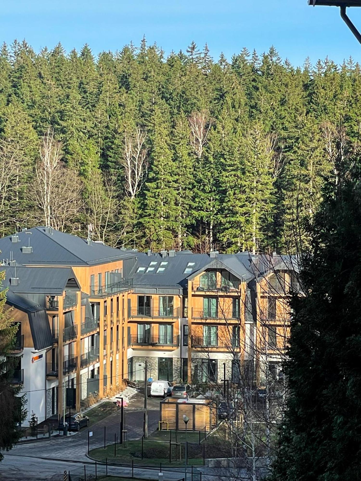 Apartament Sniezne Kotly Ostoja Parku Narodowego Schreiberhau Exterior foto